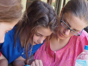 OLYMPUS DIGITAL CAMERA