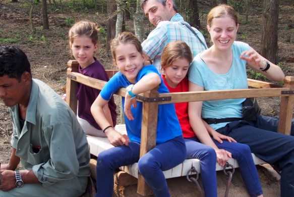 All Aboard our Elephant (Poody)