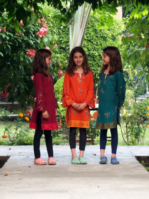 In the Garden at Traveller's Jungle Camp