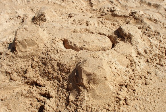 This is Rivendell 1, before the tide came in