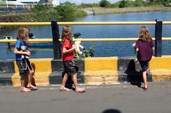 Walking to the ferry with "dodobears" in Sape, Sumbawa