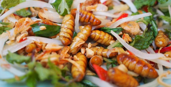 Silk Worm Salad